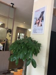 点击看大图 -苑苑发型设计