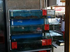 水产区-阿弟特色海鲜餐厅·大排档(平潭店)