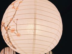 -日本料理神拉面