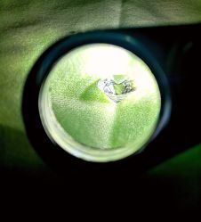 -威德钻石-克拉钻大本营(南京东路店)