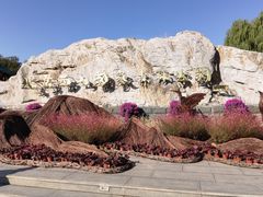 -北京西山国家森林公园