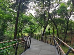 -广州市白云山风景名胜区