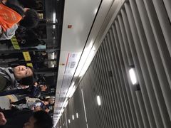 -杨高南路(地铁站)