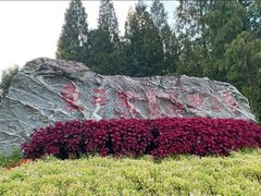 -东平国家森林公园