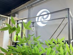 -素简女子塑形·健身普拉提