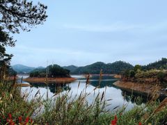 -千岛湖东南湖区