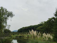 -无锡梅园公园