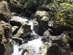 -龙苍沟森林公园