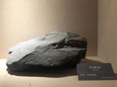 -安徽省地质博物馆