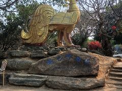 -孔雀湖生态旅游区