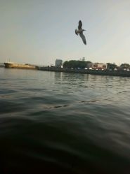 -星海水上乐园(星海广场圣亚店)