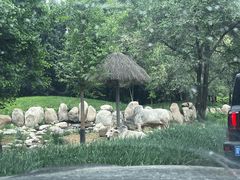 -北京野生动物园