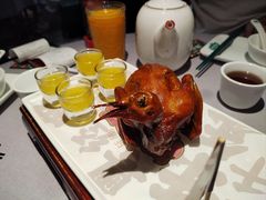-大鸽饭(体育西路店)