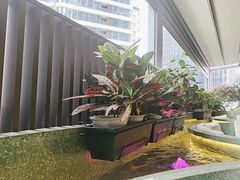 -菉雅苑·湛江菜(前海卓越INTOWN店)