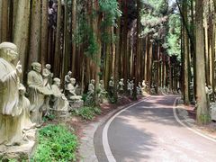 -武陵山森林公园