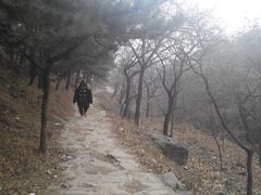 android_upload_pic-北京鹫峰国家森林公园