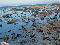 -三亚西岛海洋文化旅游区