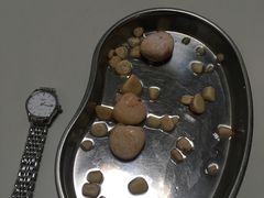 -美联众合动物医院·内科·皮肤科·外科(古城分院)