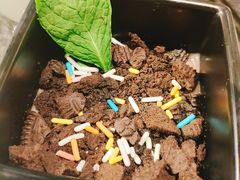 -盛江山自助料理(奥莱锦辉购物广场店)