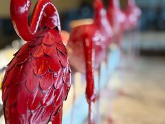 -苏州吴江盛虹万丽酒店-燃餐厅(盛泽店)