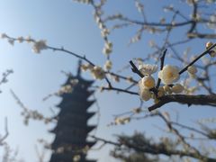 -上海方塔园