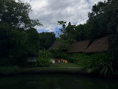 -大象粑粑造纸公园