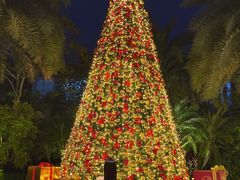 -广州富力丽思卡尔顿酒店