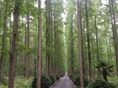 android_upload_pic-上海怡沁园度假酒店