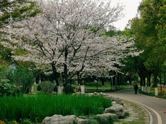 -堤角公园