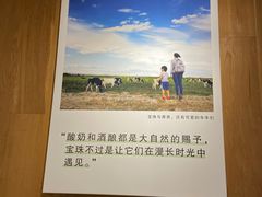 -宝珠奶酪(闵行仲盛店)
