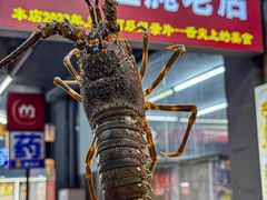 -圆蛋酒料•生腌(开元路店)