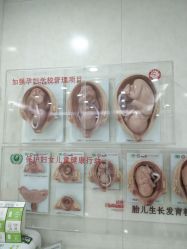 门诊部-五洲妇儿医院