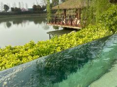 -苏州湾·王焰温泉