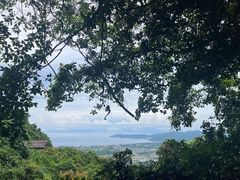 -亚龙湾热带天堂森林公园