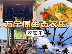 -兴隆槟榔园休闲农庄