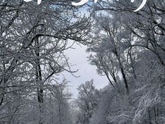 -长白山万达国际滑雪场