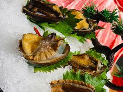 小鲍鱼-尚海豆捞(乐虹坊店)