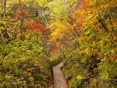 -叠溪松坪沟景区