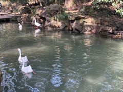 -兰亭风景区