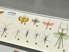 -四川大学博物馆