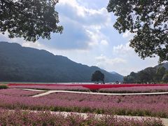 -广州市石门国家森林公园