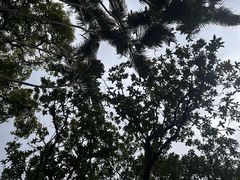 -深圳珠宝博物馆