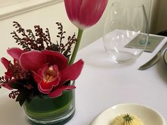 -蝶舍·MAISON PAPILLON