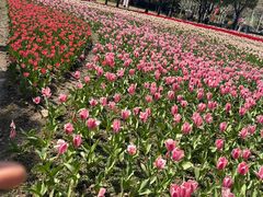 -桔子酒店(上海西藏北路地铁站店)