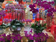 -盒马鲜生(岭南新世界店)