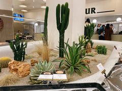 -OUR Bakery(SKP-S店)