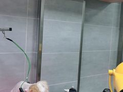-宠福鑫康馨动物医院·骨科·眼科