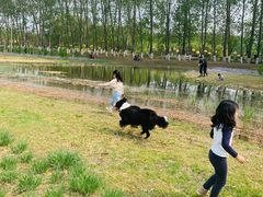 -东郊湿地公园