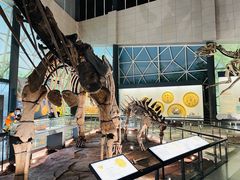 -湖南省地质博物馆