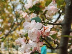 -上海交通大学(闵行校区)